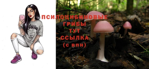 PSILOCYBIN Алзамай