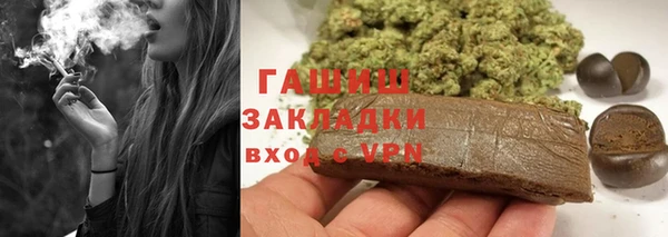 PSILOCYBIN Алзамай