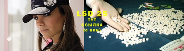 spice Алексин