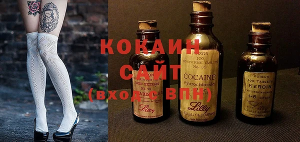 PSILOCYBIN Алзамай