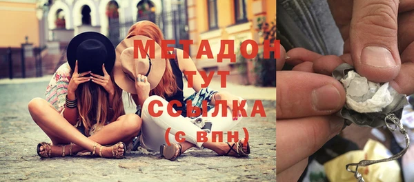 PSILOCYBIN Алзамай