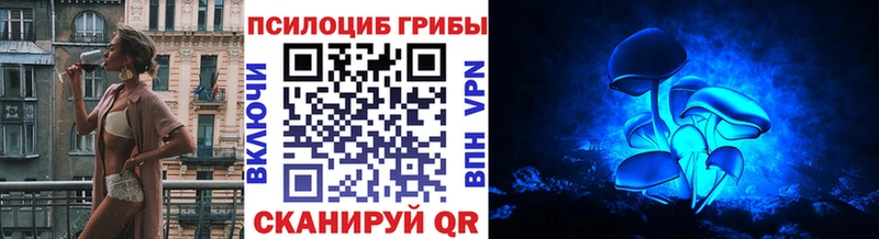 Галлюциногенные грибы Psilocybine cubensis  Малаховка 
