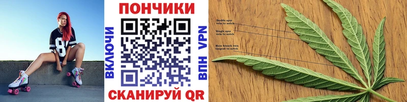 Шишки марихуана Amnesia  как найти закладки  Малаховка 